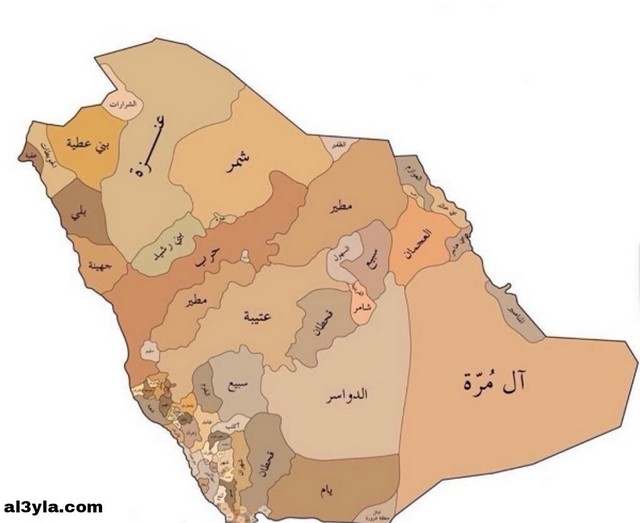 تعداد القبائل في السعودية