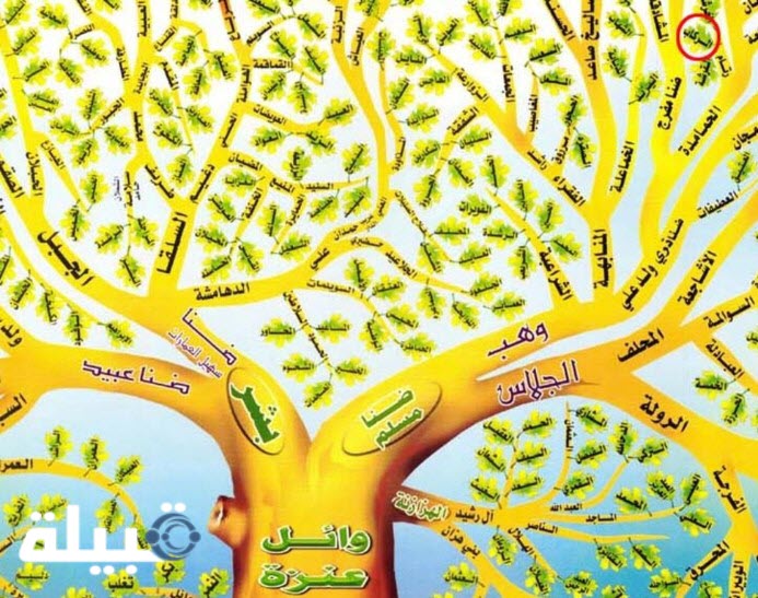 شجرة قبيلة عنزة